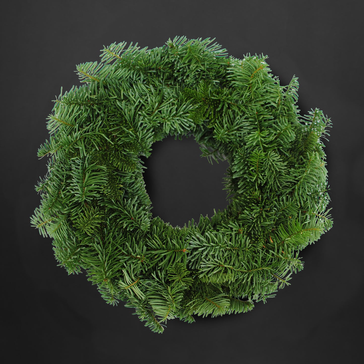 Christmas - Holland Noble Wreath